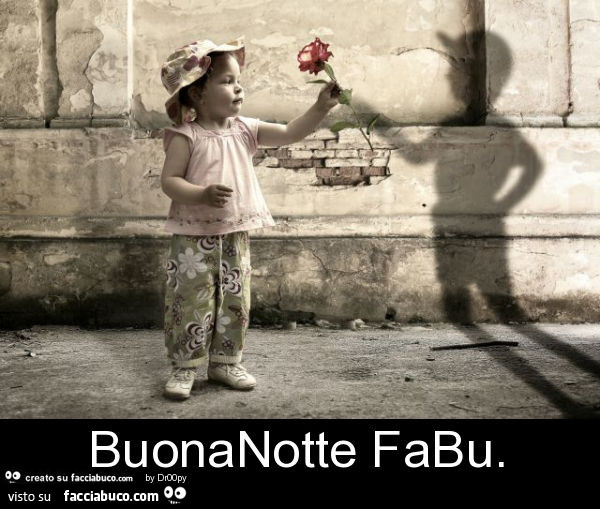 Buonanotte Fabu Facciabuco