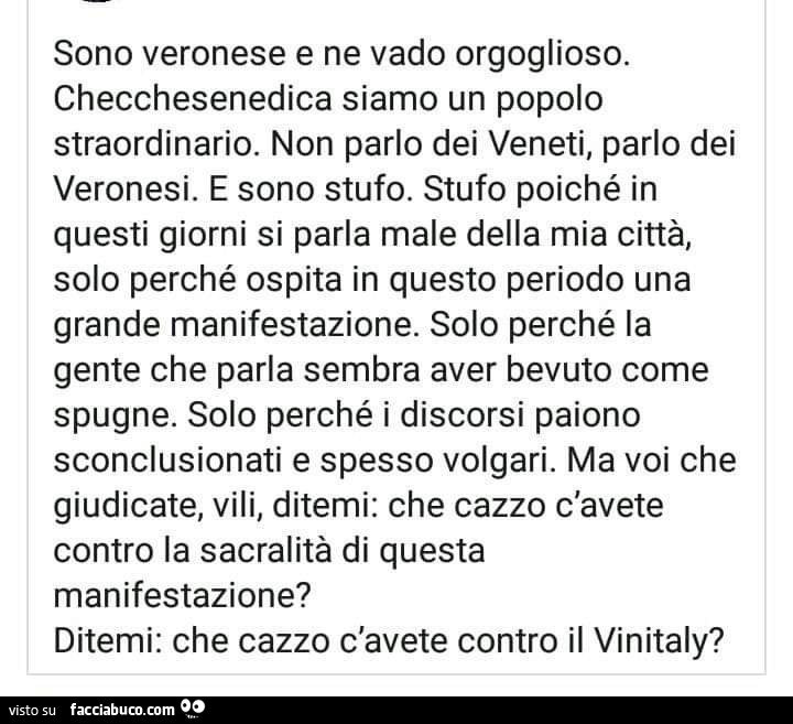 Sono veronese e ne vado orgoglioso. Checchesenedica siamo un popolo straordinario. Non parlo dei veneti, parlo dei veronesi. E sono stufo. Stufo poiché in questi giorni si parla male della mia città, solo perché ospita in questo periodo