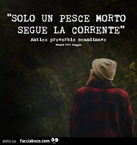 Solo un pesce morto segue la corrente. Antico proverbio scandinavo