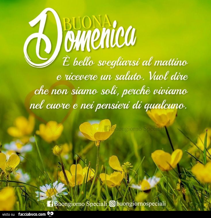 Buona Domenica E Bello Svegliarsi Al Mattino E Ricevere Un Saluto Vuol Dire Che Facciabuco Com