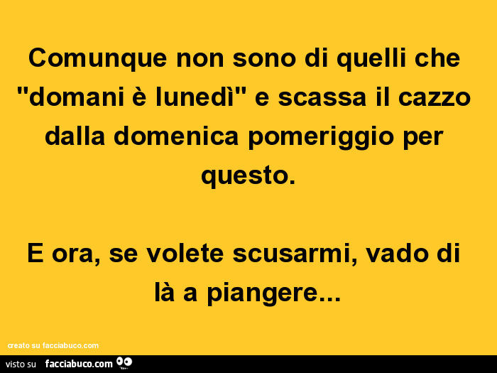 Comunque non sono di quelli che "domani è lunedì" e scassa il cazzo dalla domenica pomeriggio per questo. E ora, se volete scusarmi, vado di là a piangere