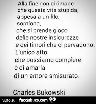 Alla fine non ci rimane che questa vita stupida, appesa a un filo, sorniona, che si prende gioco delle nostre insicurezze e dei timori che ci pervadono. L'unico atto che possiamo compiere è di amarla di un amore smisurato. Charles Bukowski