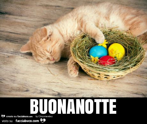 Buonanotte