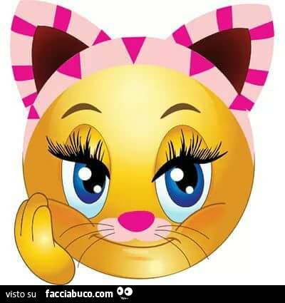 Gatto smile