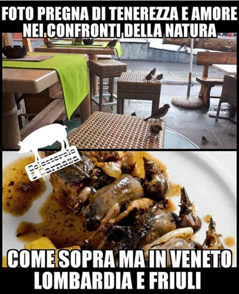 Foto pregna di tenerezza e amore nei confronti della natura