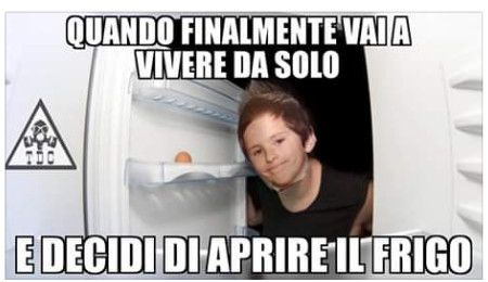 Quando finalmente vai a vivere da solo e decidi di aprire il frigo
