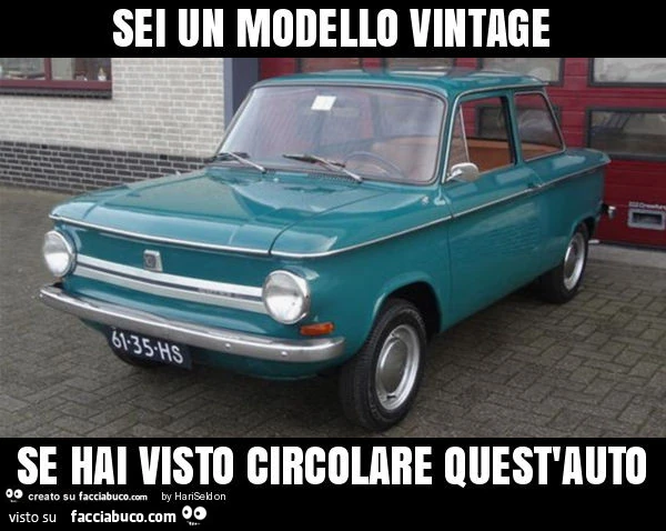 Sei un modello vintage se hai visto circolare quest'auto