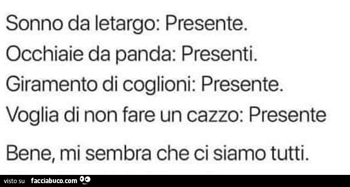 Sonno da letargo: presente. Occhiaie da panda: presenti. Giramento di coglioni: presente. Voglia di non fare un cazzo: presente bene, mi sembra che ci siamo tutti