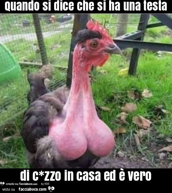 Una testa di cazzo nella realtà