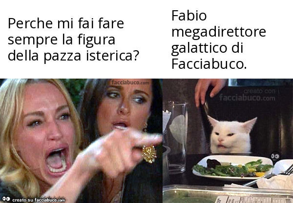 Perche mi fai fare sempre la figura della pazza isterica? . Fabio megadirettore galattico di facciabuco