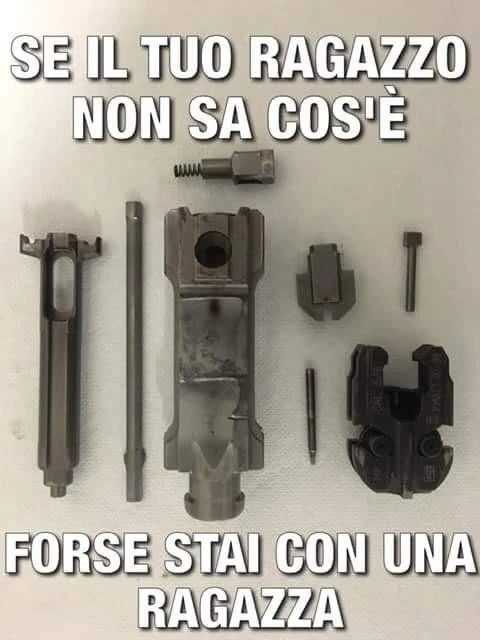 Vaccata