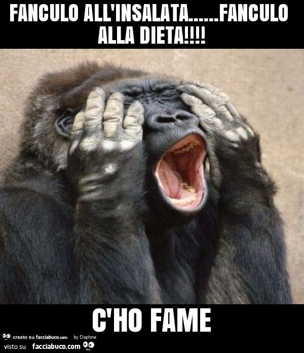 Fanculo All Insalata Fanculo Alla Dieta C Ho Fame Facciabuco Com