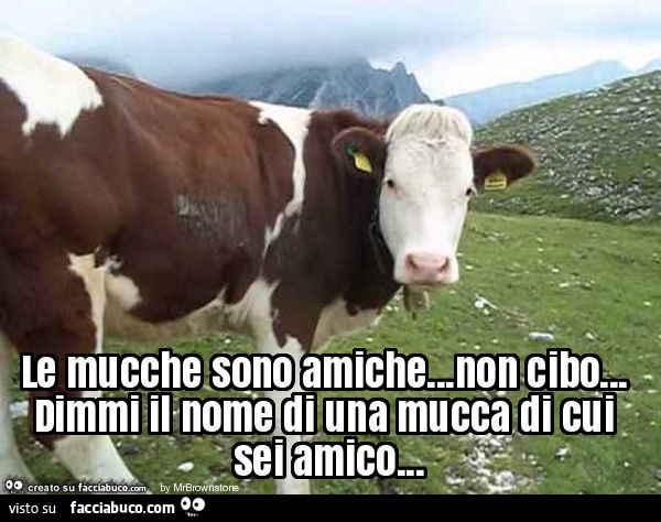 Le mucche sono amiche… non cibo… dimmi il nome di una mucca di cui sei amico