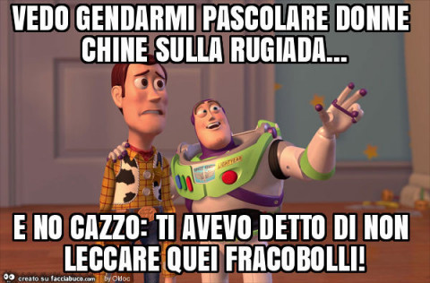 Vaccata