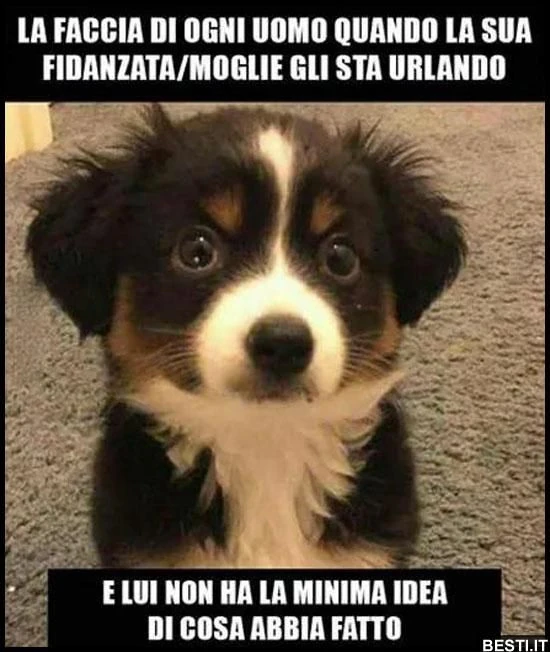 È la cosa più giusta del mondo