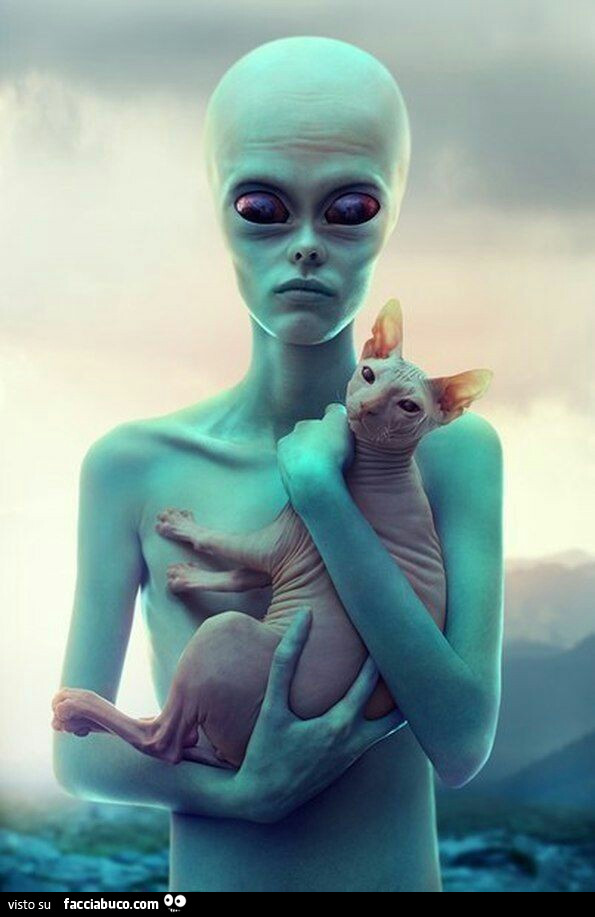 Alieno con il gatto nudo