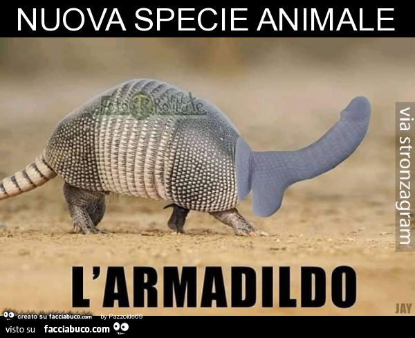 Nuova specie animale