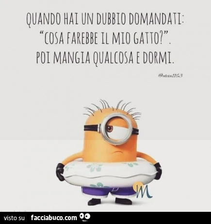 Quando hai un dubbio domandati. Cosa farebbe il mio gatto? Poi mangia e dormi