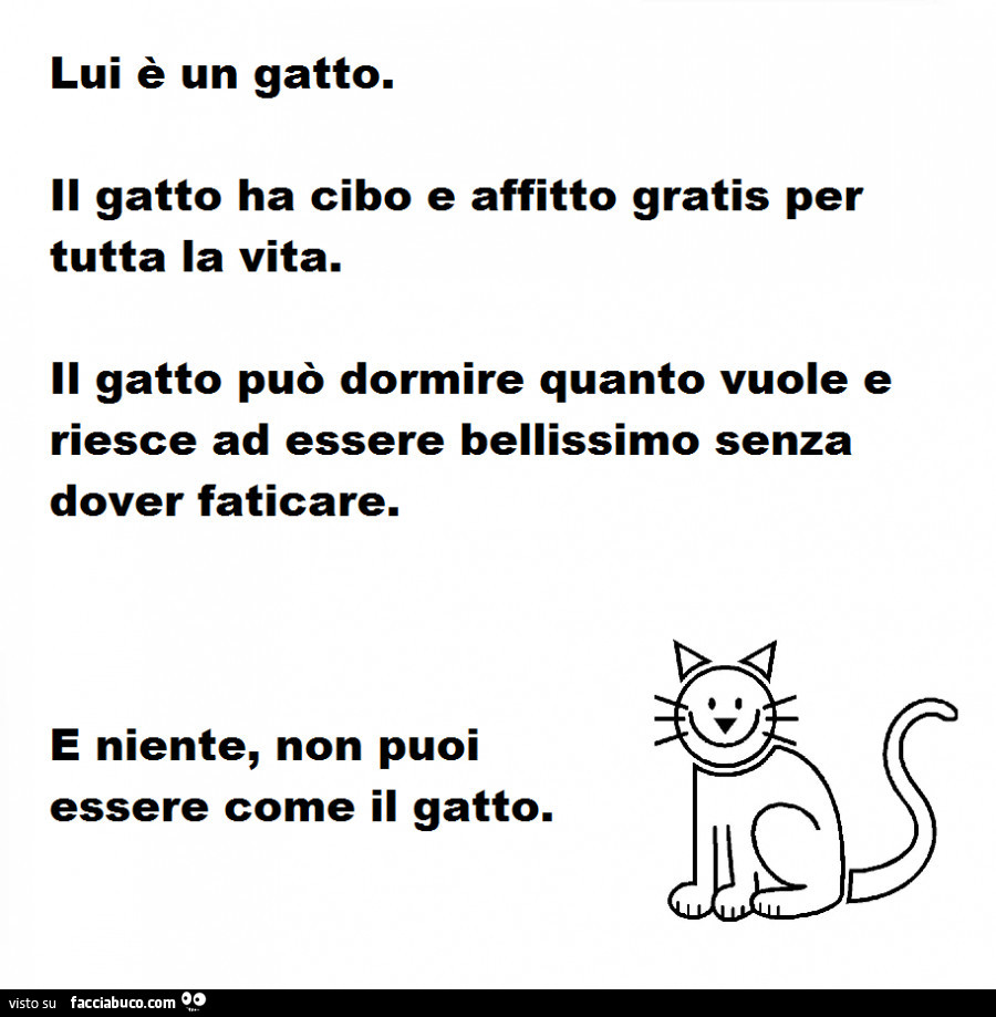 Lui è un gatto. Il gatto ha cibo e affitto gratis per tutta la vita. Il gatto può dormire quanto vuole e riesce ad essere bellissimo senza dover faticare. E niente, non puoi essere come il gatto