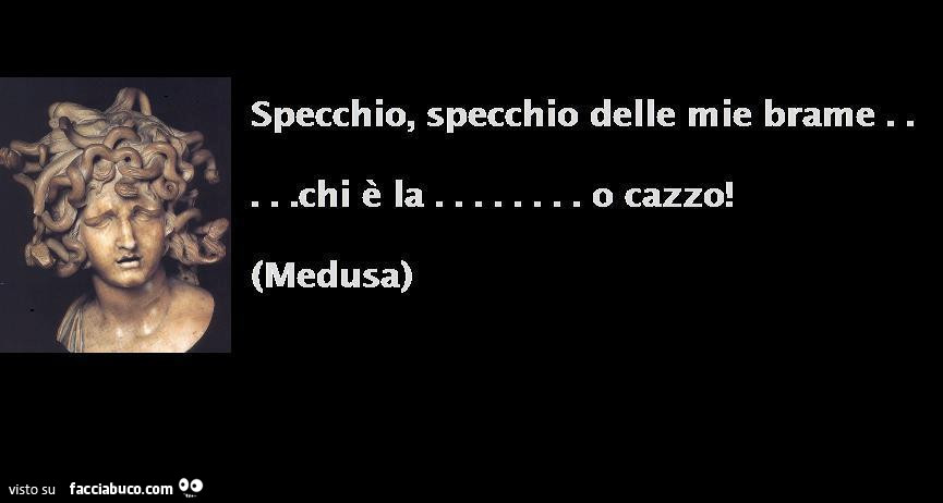 Specchio, specchio delle mie brame chi è la… o cazzo! Medusa