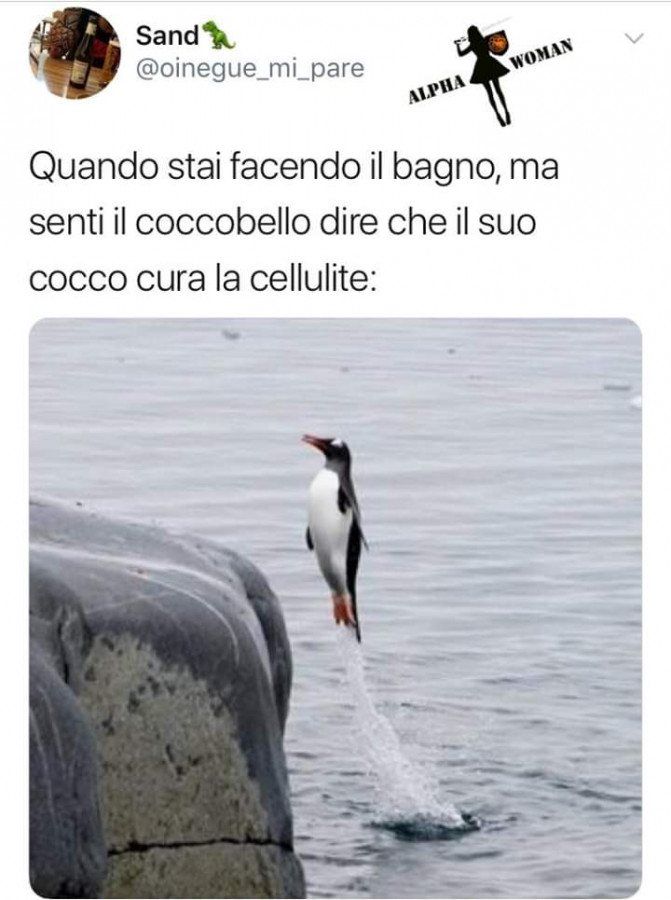 Buongiorno Cocco Bella Cocco Fresco Fa Bene All Ammore Facciabuco Com