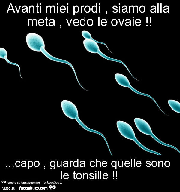 Avanti miei prodi, siamo alla meta, vedo le ovaie! … Capo, guarda che quelle sono le tonsille