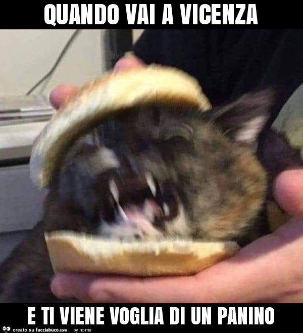 Quando vai a vicenza e ti viene voglia di un panino