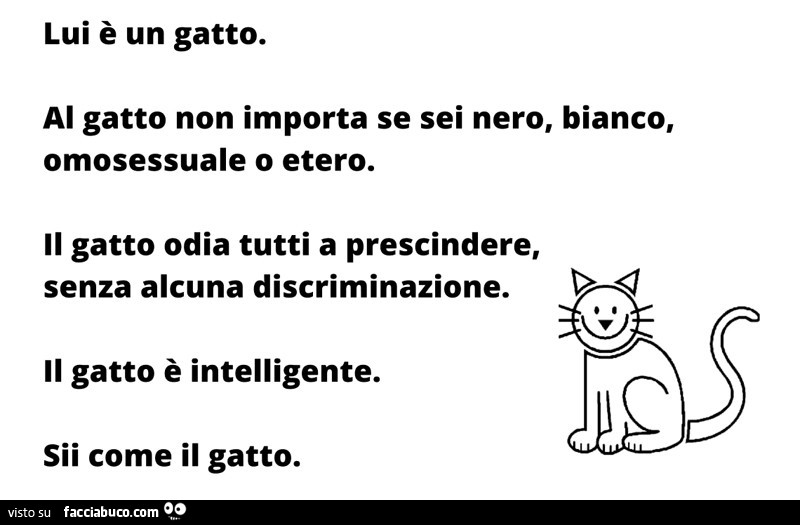 Lui è un gatto. Al gatto non importa se sei nero, bianco, omosessuale o etero. Il gatto odia tutti a prescindere, senza alcuna discriminazione. Il gatto è intelligente. Sii come il gatto