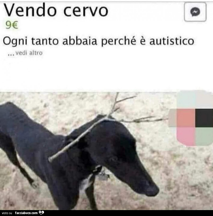 Vendo cervo ogni tanto abbaia perché è autistico