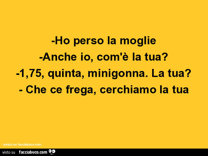 Ho perso la moglie. Anche io, com'è la tua? 1,75, quinta, minigonna. La tua? Che ce frega, cerchiamo la tua