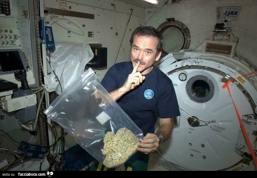 L'astronauta Chris Hadfield che prova la Marijuana nello spazio, 2012