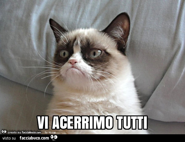 Vi acerrimo tutti