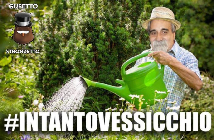 Vaccata