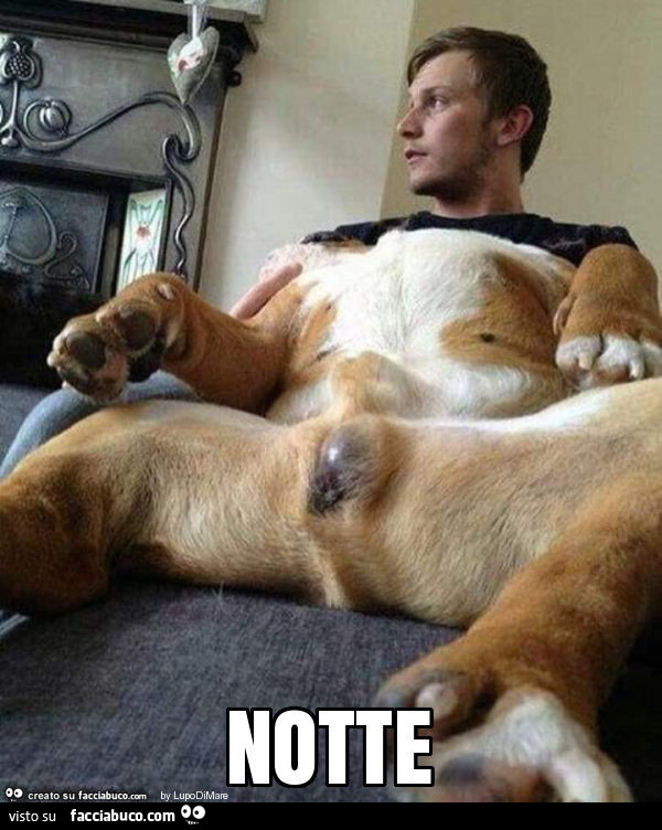 Notte