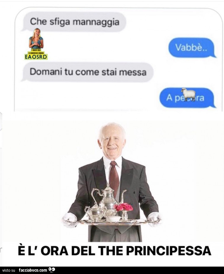 Che sfiga mannaggia. Vabbè. Domani tu come stai messa. A pecora. È L' ora del the principessa