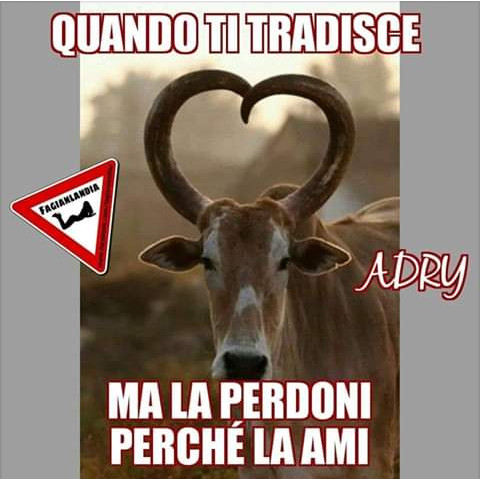 Quando ti tradisce ma la perdoni perché la ami