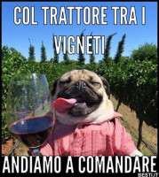 Vaccata
