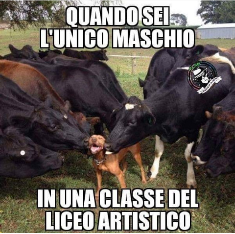 Quando sei unico maschio i una classe del liceo artistico