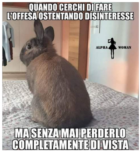 Quando cerchi di fare l' offesa ostentando disinteresse