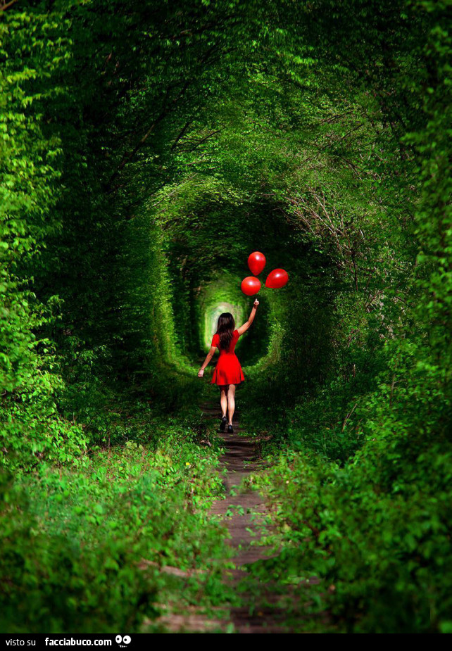 Nel bosco in abito rosso e con palloncini