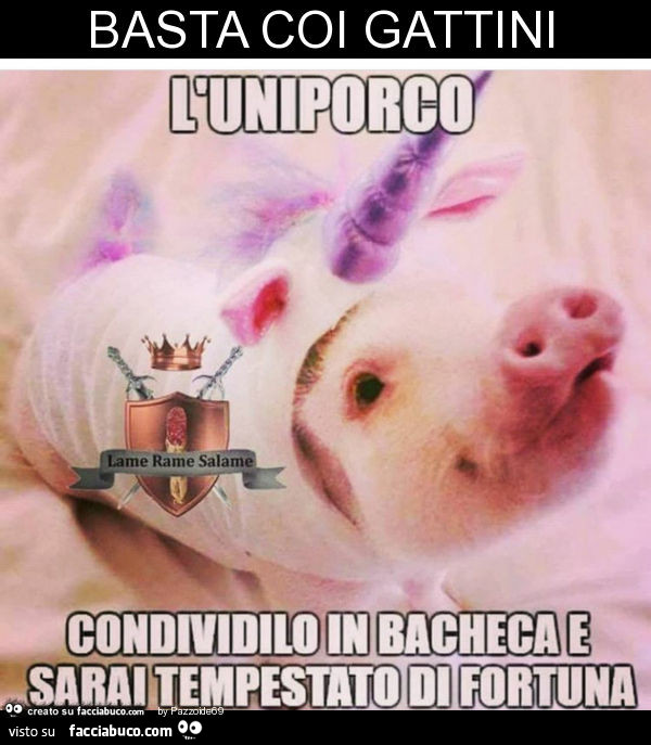 Basta coi gattini