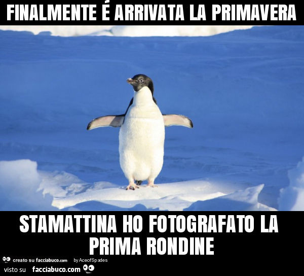 Finalmente é arrivata la primavera stamattina ho fotografato la prima rondine