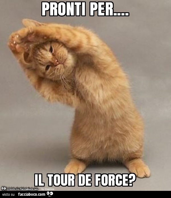 Pronti per… il tour de force?