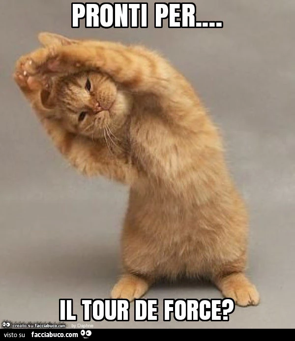 Pronti per&hellip; il tour de force?
