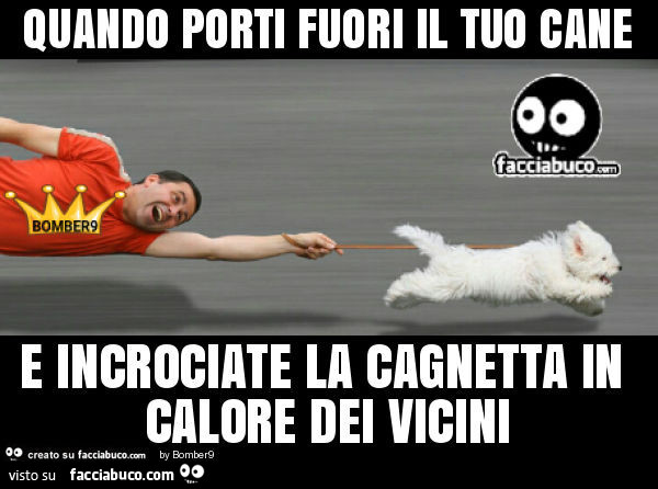 Quando porti fuori il tuo cane e incrociate la cagnetta in calore dei vicini