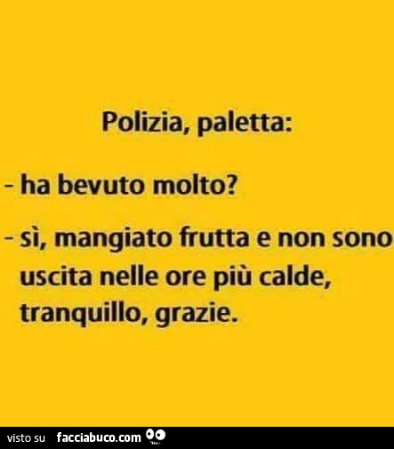 Polizia, paletta: ha bevuto molto? Sì, mangiato frutta e non sono uscita nelle ore più calde, tranquillo, grazie