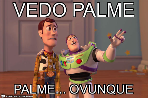Vedo palme palme… ovunque