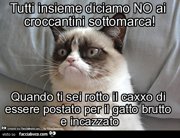 Tutti insieme diciamo no ai croccantini sottomarca! Quando ti sei rotto il caxxo di essere postato per il gatto brutto e incazzato