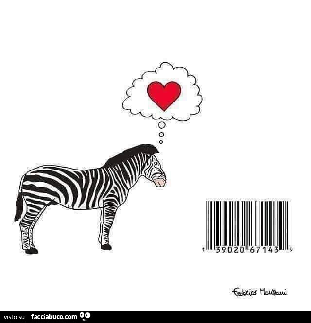 La zebra si innamora del codice a barre