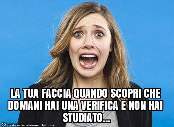 La tua faccia quando scopri che domani hai una verifica e non hai studiato